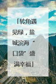 转角遇见绿，盐城滨海“口袋”盛满幸福